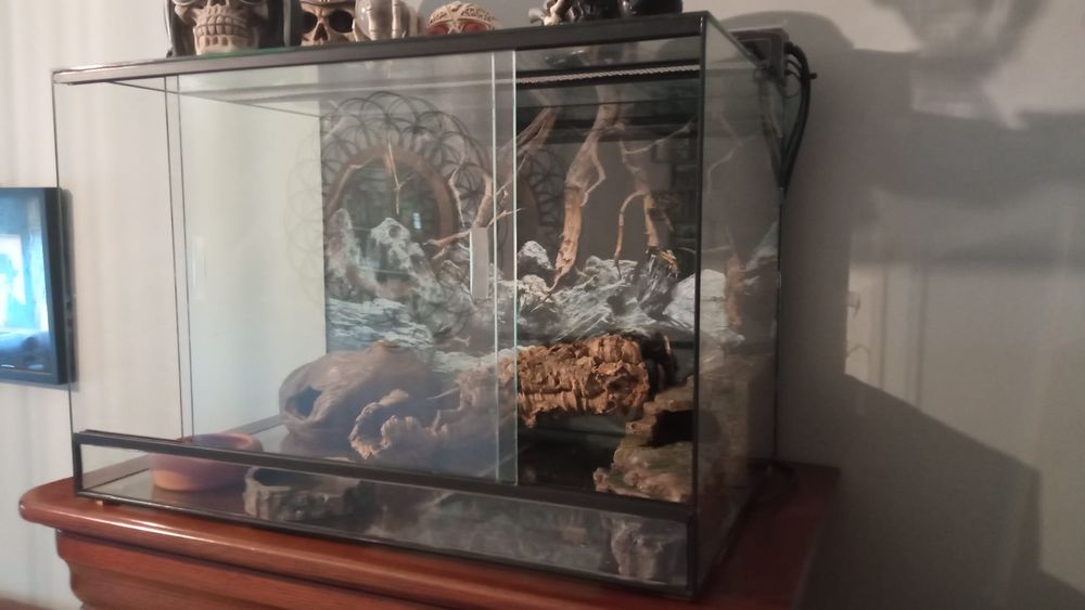 Vendo Terrário para répteis