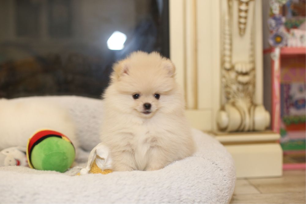 Дівчинка міні  перлинка