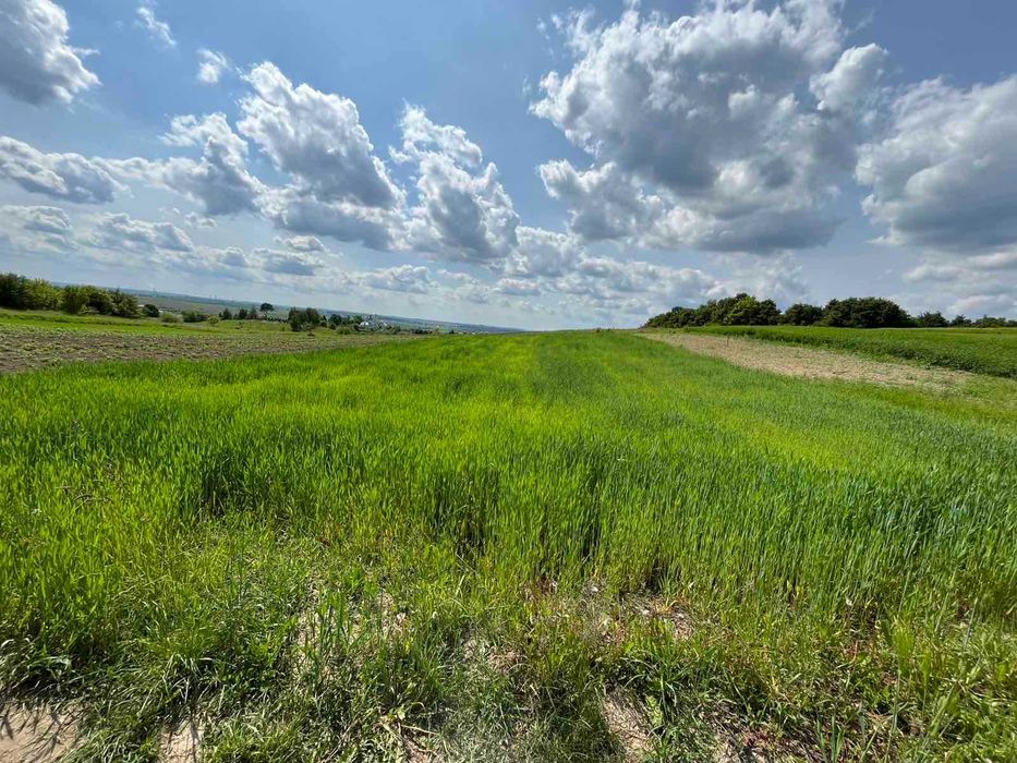 Продаж земельної ділянки с/г призначення, с. Колоденка