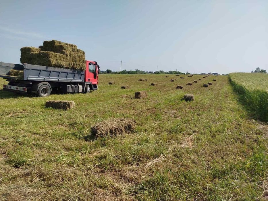 Продам сіно лугове , та сіно люцерни ціну уточнюйте