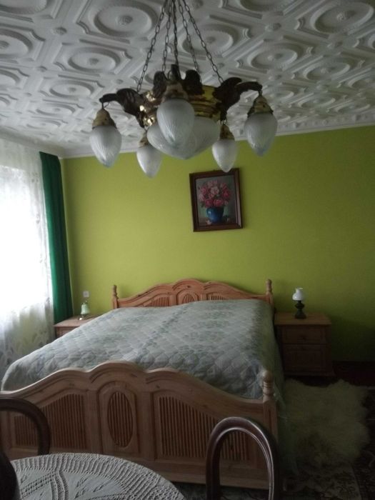 Dom wolnostojący z garażem