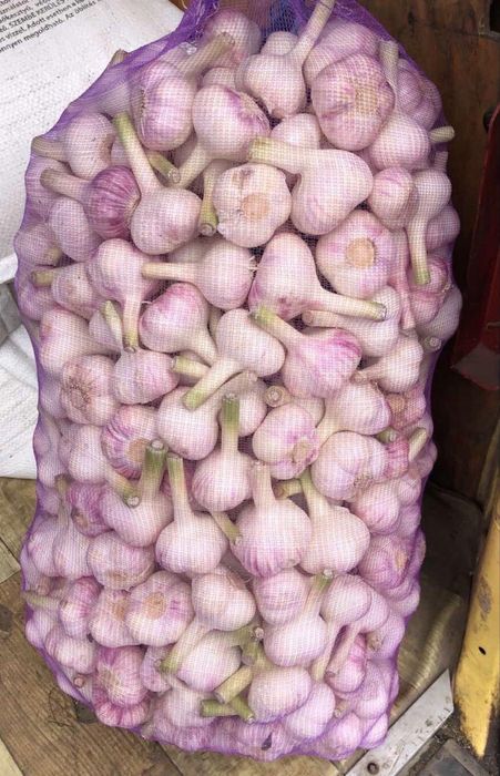 Полиэтиленовый завод