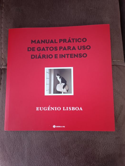 Manual Prático de gatos para uso diário e intenso - Eugénio Lisboa