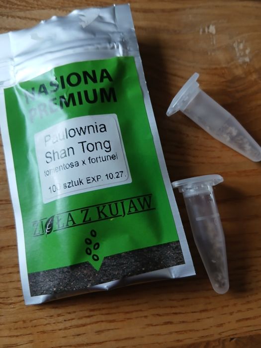 Nasiona różnych roślin