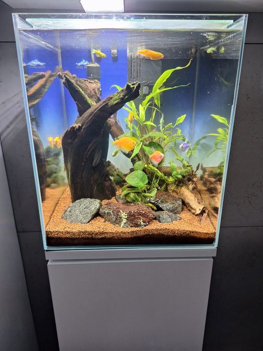 Akwarium 30l + szafka