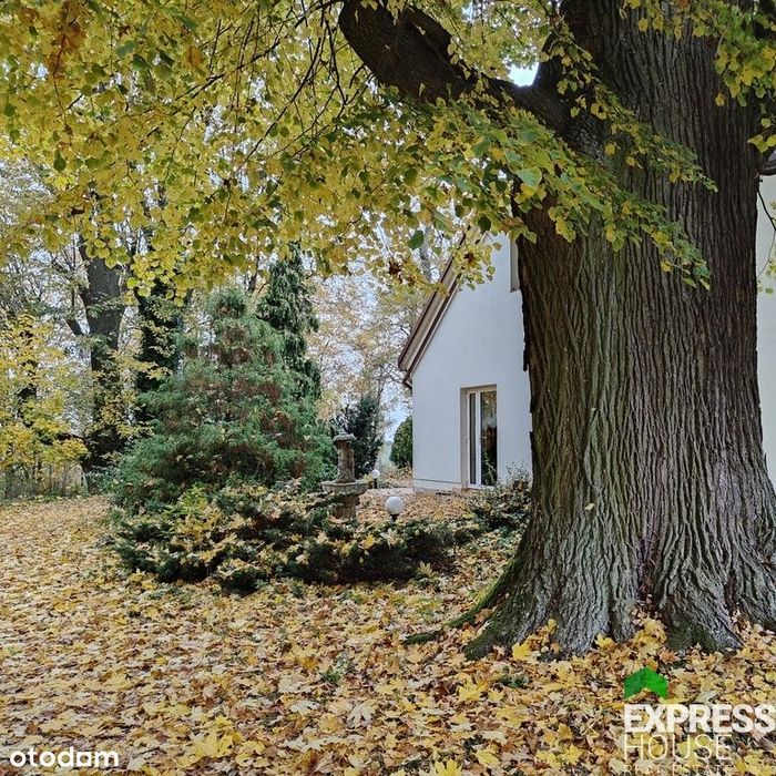 Dworek w klimatycznym otoczeniu starych drzew