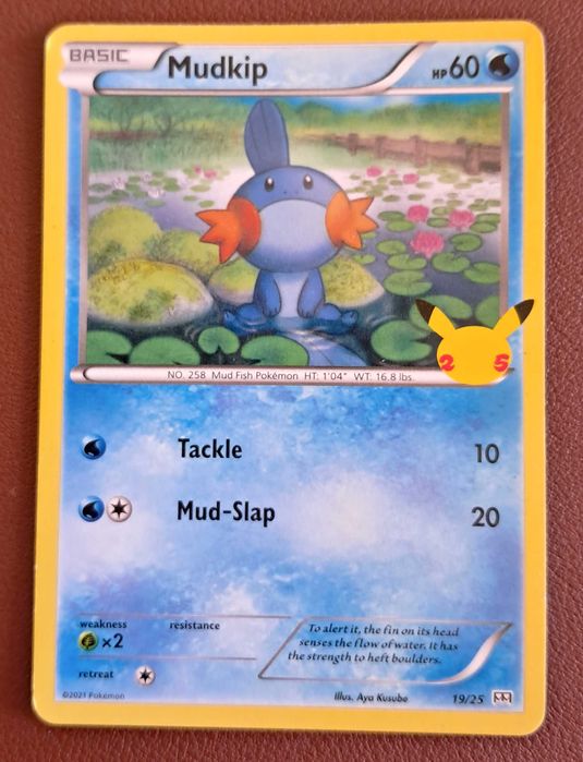 Cartão Pokémon Mudkip