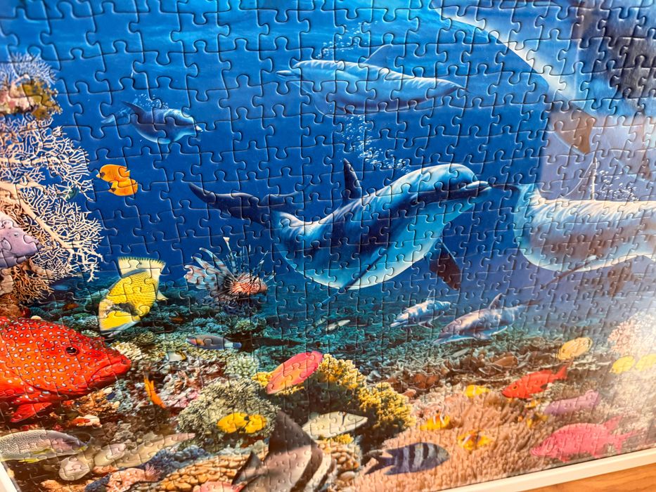 Puzzle 1000 com moldura, mar golfinhos