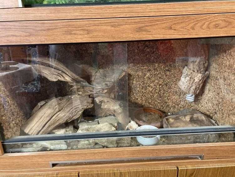 Terrarium podwójne OKAZJA