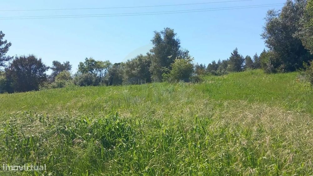 Rustic Land Plot of 1 Ha in Paialvo, Tomar