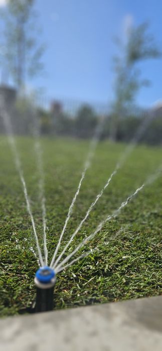 Projektowanie ogrodów, usługi ogrodnicze