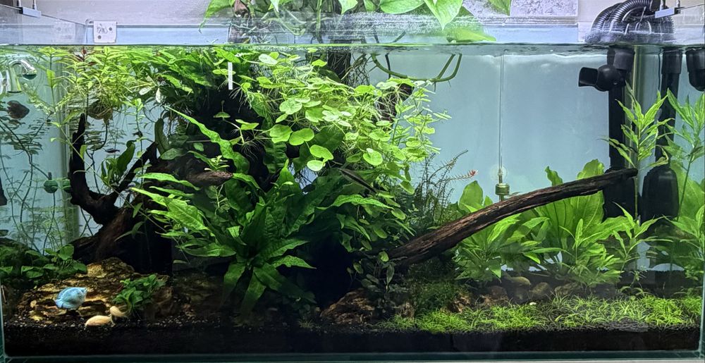 Aquario 200L + Movel + Fundo Led
