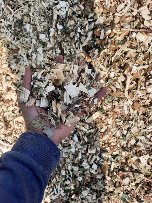 Skup zrębki zrąbka, odpadów tartacznych, zrzyn