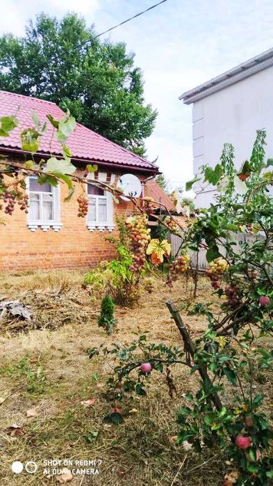 Продам будинок в с. Литвинівка, Вишгородський р-н