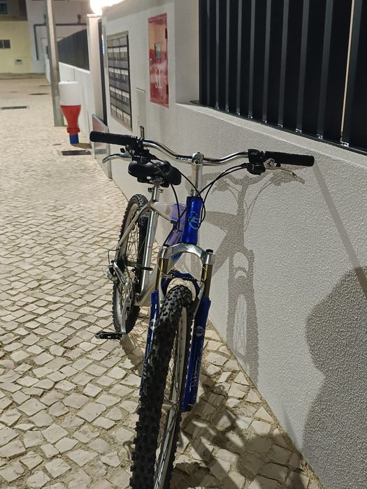 Bicicleta de montanha