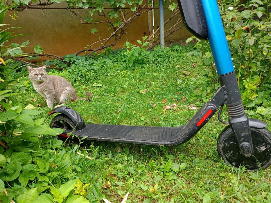 Електро самокат SegwayNinebot2