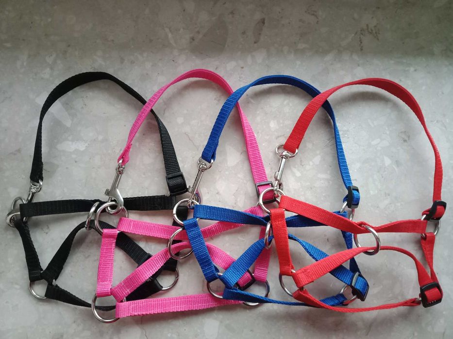 Kantar dla kóz, ogłowie, uprzęż