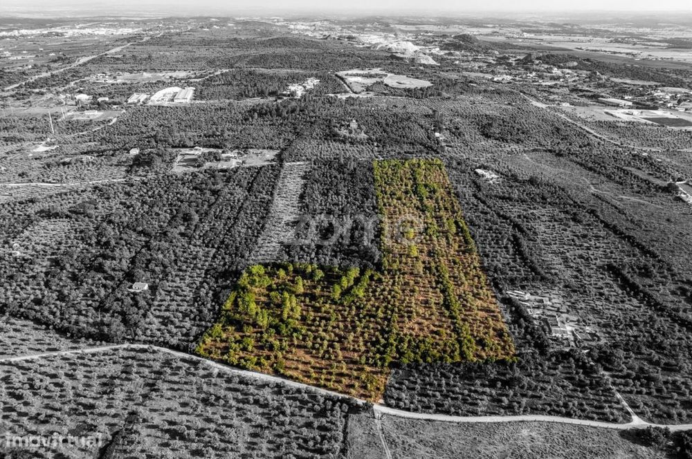 Terreno 5,5 ha com projeto turístico aprovado – Borba, Alentejo