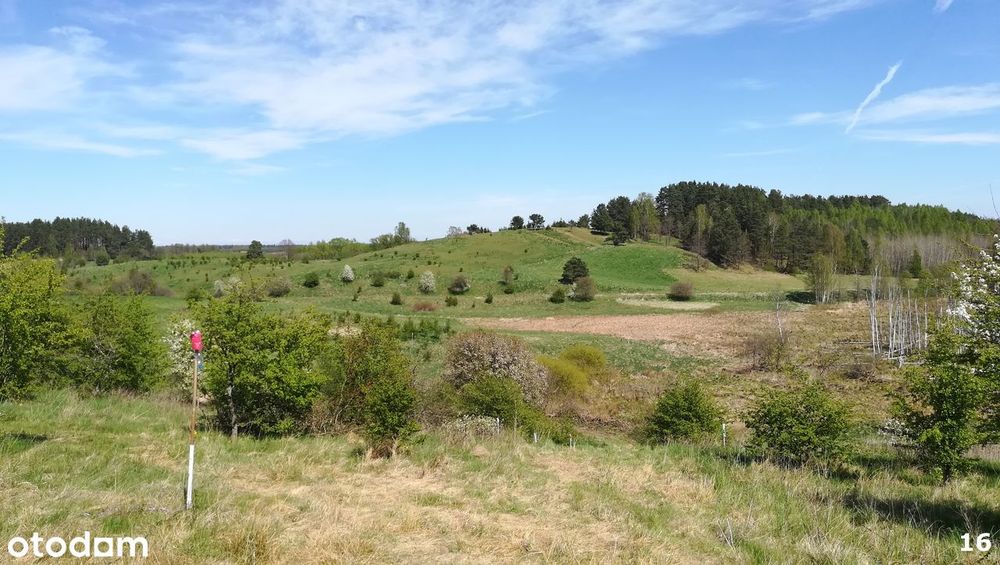 Łaniewo budowlane rekreacja rowery bobry