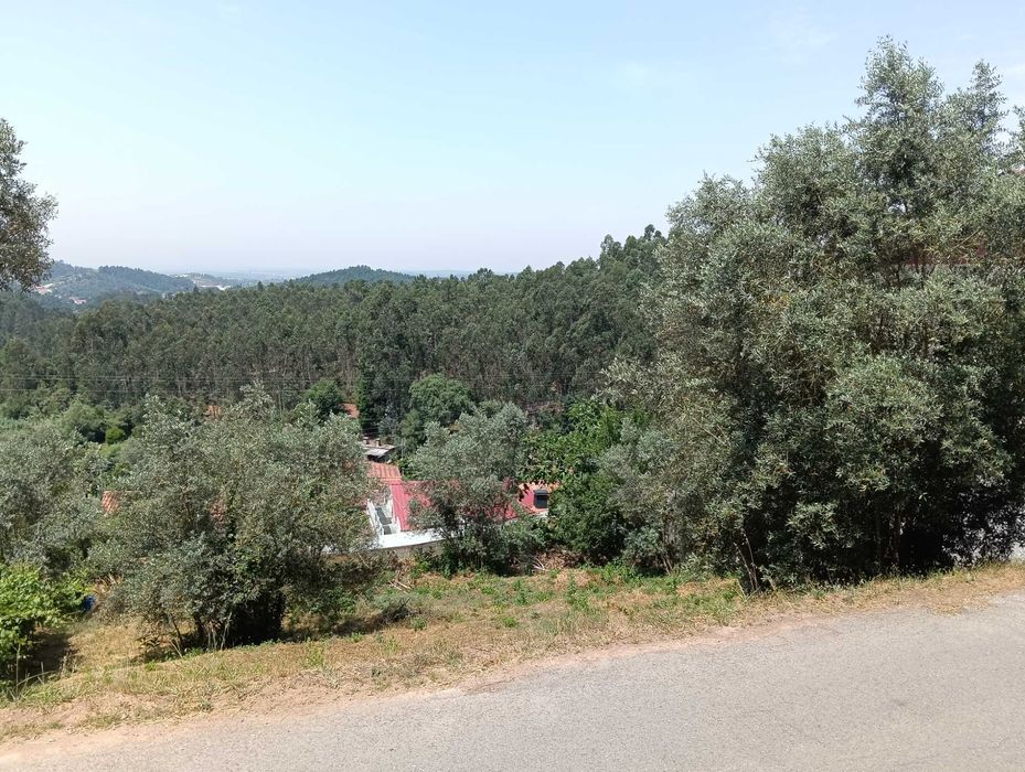 Terreno para construção - São Paulo de Frades