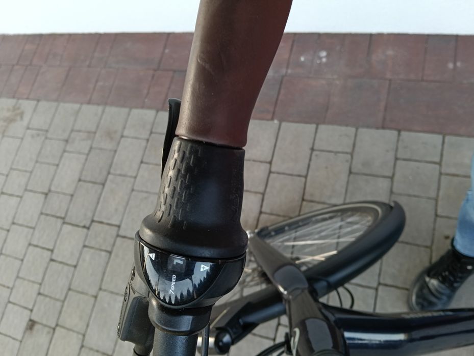 Rower Batavus Finez