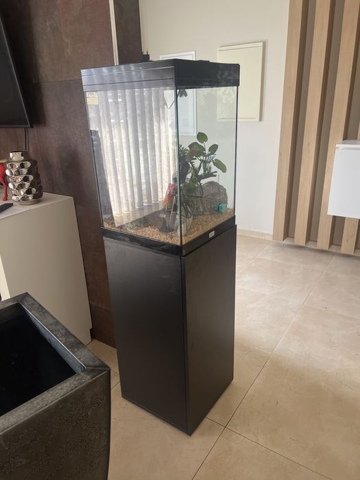 Vendo aquario como jovo