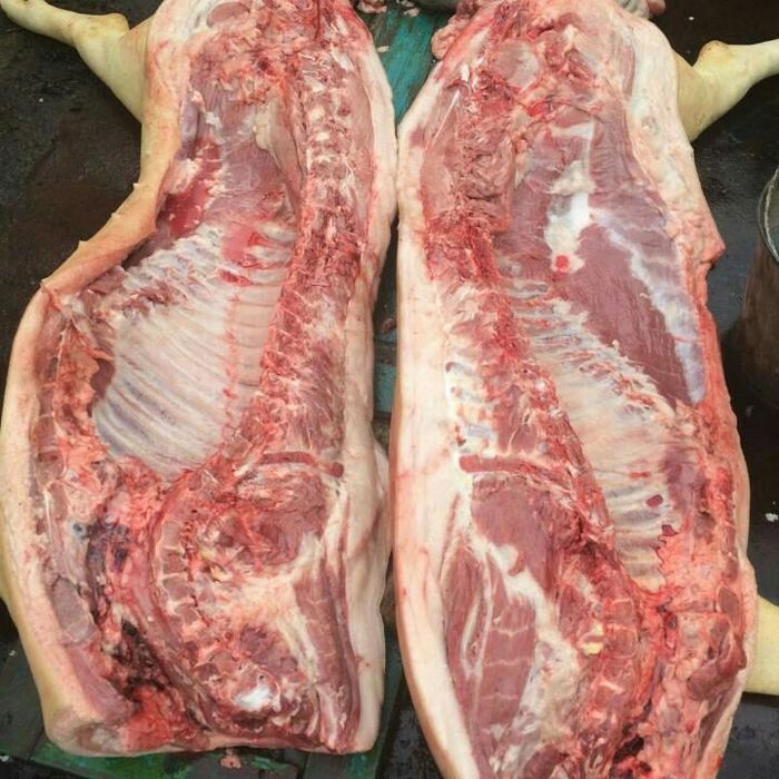 Домашні туші свиней