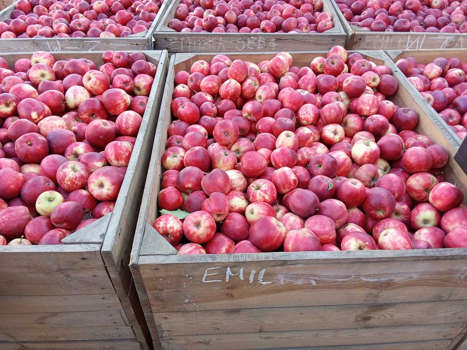 Miejsce pod obornik i bio z dopłatą