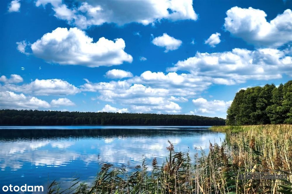 Dostęp do jeziora, plaża, teren i las. Dołgie.
