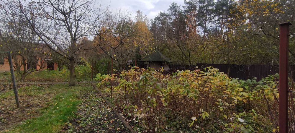 Боярка, Тарасівка ( 16 км до кільцевої дороги), вул. Лісова.