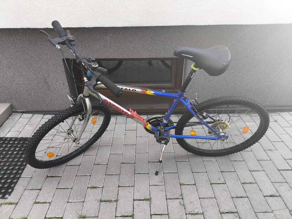 Rower author buffalo