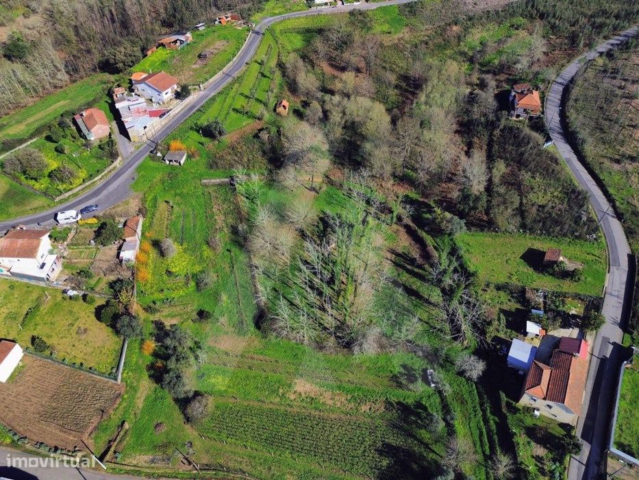 Terreno em Jafafe - Macinhata do Vouga