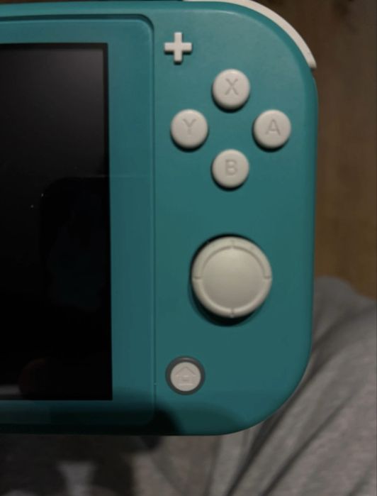 nintendo switch lite +futeral