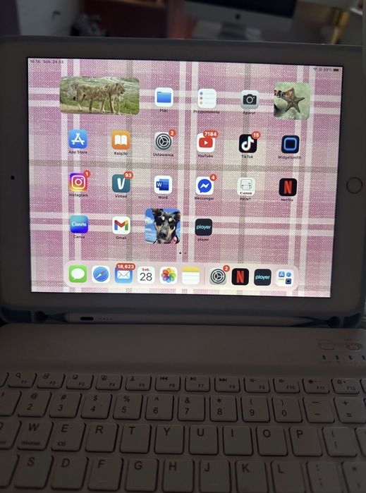 iPad Air 2 Apple tablet