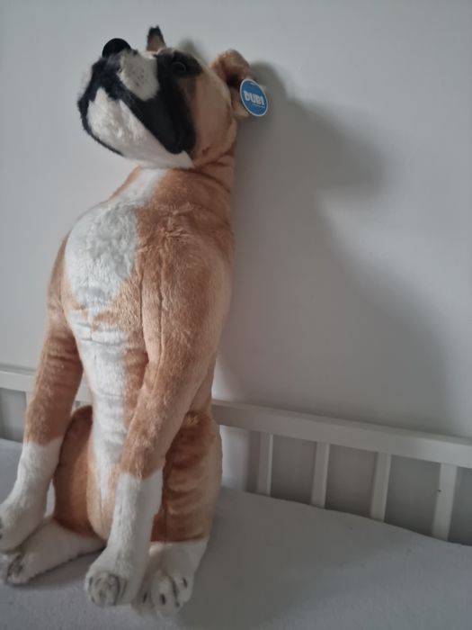 Bokser piesek pluszak