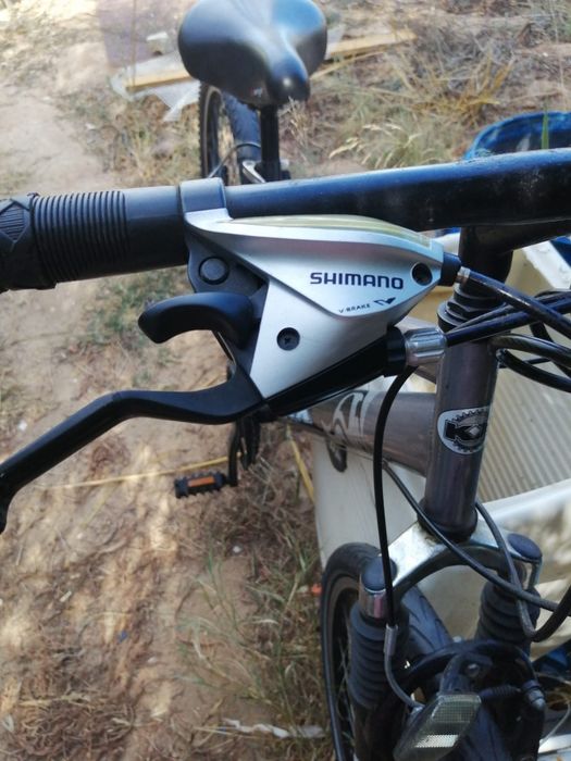 Bicicleta KX  Sport 100