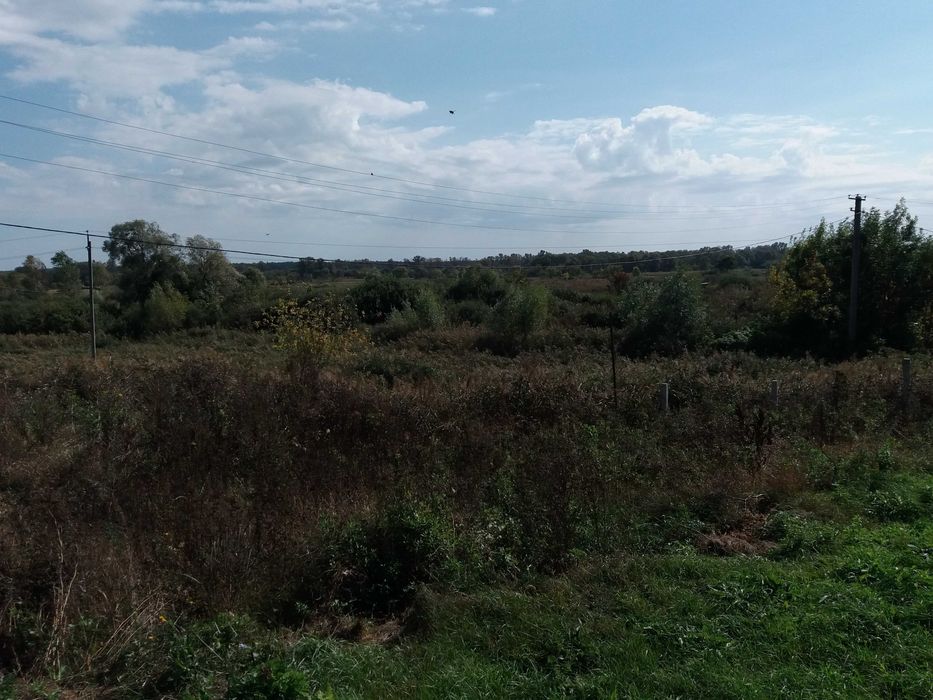 Продам участок в Бабаях 100 соток