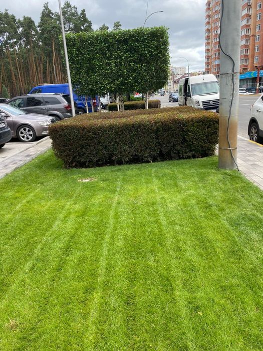 Догляд за газоном, підживлення, скарифікація, аерація, обробка