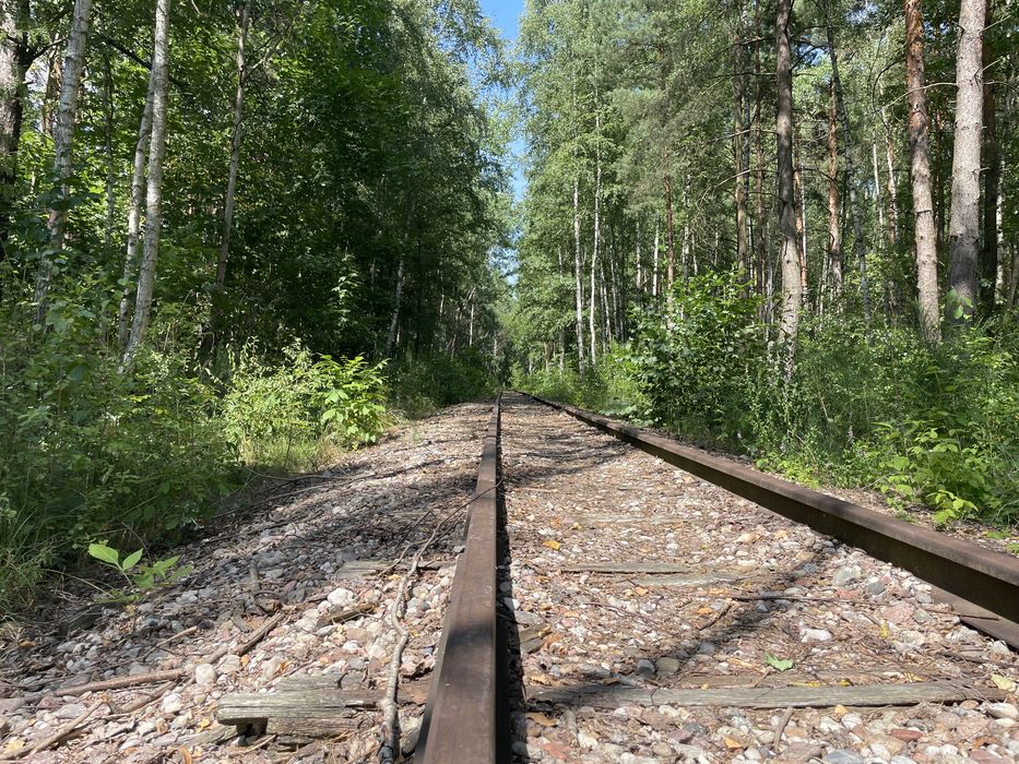 Działka budowlana 1786 m² | Ruda k. Tarczyna | MPZP | 25 min od Warszawy