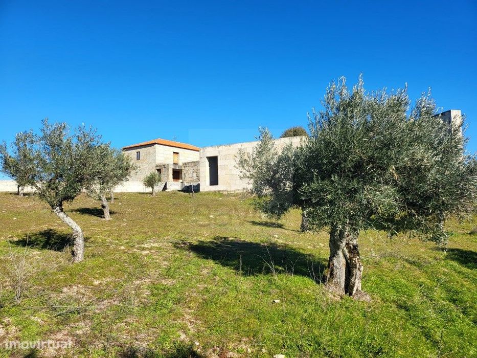 Quinta em Possacos trás-os-montes com produção de vinho e azeite