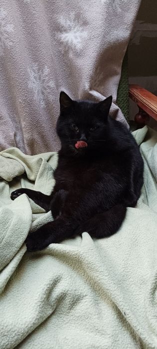 Kleopatra szuka kochającej rodziny.