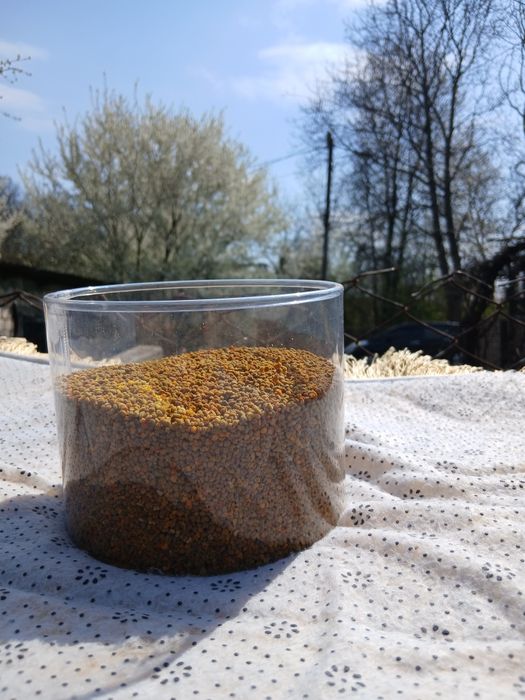 Пилок бджолиний  2026 квітковий