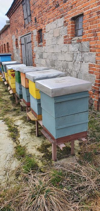 ule  wirówkę , pasieka