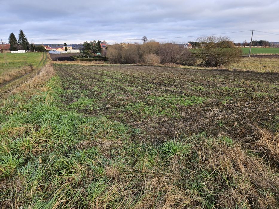 Działki Zwierzewo Mazury