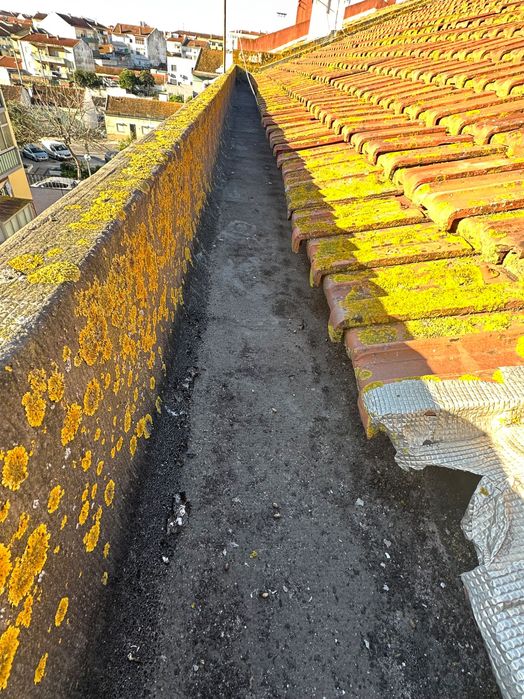 Limpeza de Algeroz Profissional – ServiçoRápido e Eficiente