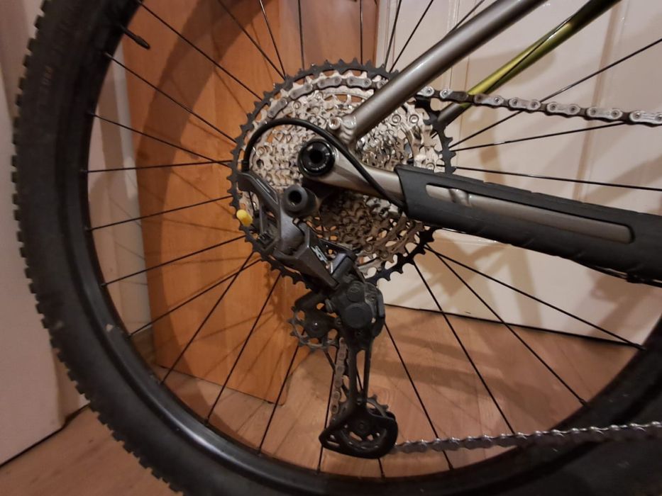 Rower TREK 2024 procaliber 8 r. M