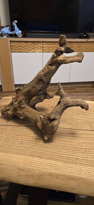 Korzeń do Akwarium Terrarium Ozdoba !!