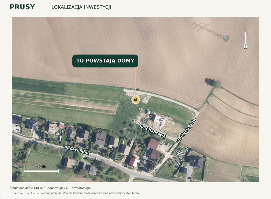 Zdjęcie 7