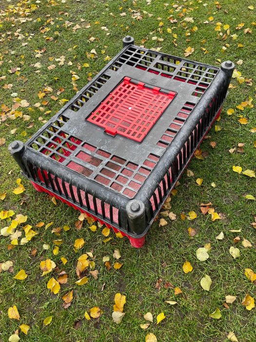 klatka klatki skrzynka do transportu drobiu , ptaków