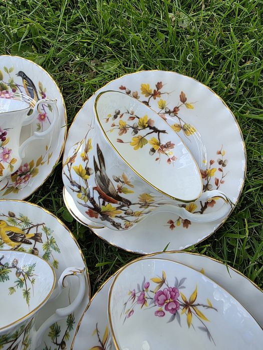 ローヤルアルベト食器セットcaroline royal albert - купити посуд, кухонне начиння - Ціна на OLX.ua